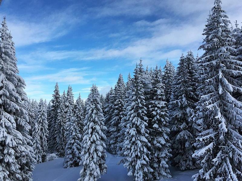 Sunset View Ski&Spa apartments Kopaonik Buitenkant foto